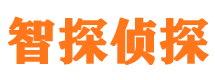 西充外遇调查取证